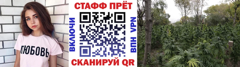 Купить наркотик аптеки Звенигород Канабис A PVP Гашиш МЕФ