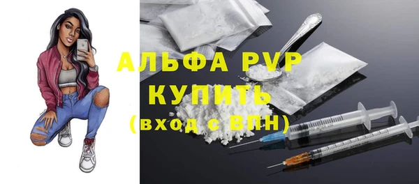 прущие грибы Абаза