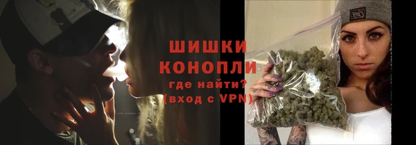 прущие грибы Абаза