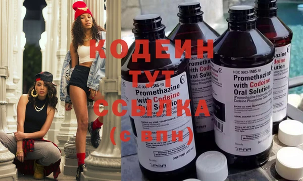 прущие грибы Абаза