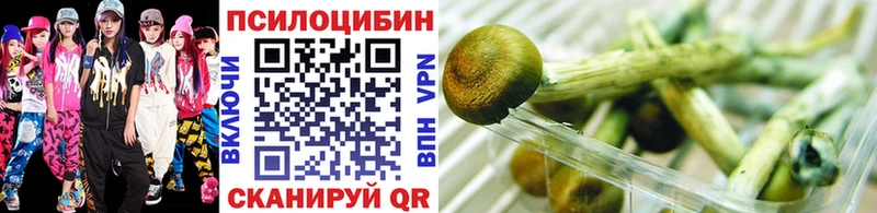 Псилоцибиновые грибы GOLDEN TEACHER  Звенигород 
