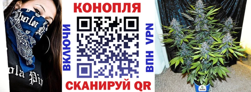 Бошки Шишки план  купить закладку  Звенигород 